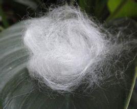 聚酰胺纖維也是尼龍的另一種說法