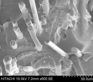 POE-g-MAH對玻纖增強高溫尼龍的增韌機理